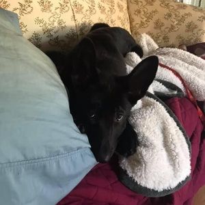 Meet your Posher, Elisa